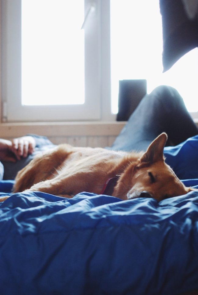 Processed with VSCO with a9 preset